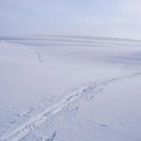 Varanger Kite Camp Campsite *